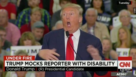 trump-mocks-disabled-reporter